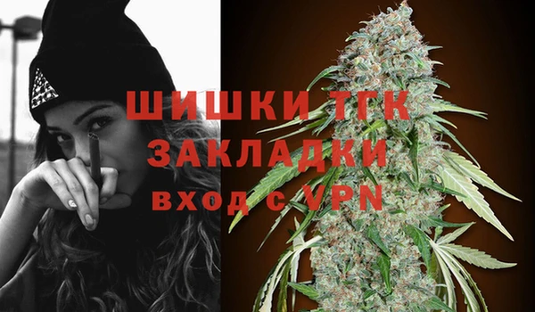 бошки Дмитриев